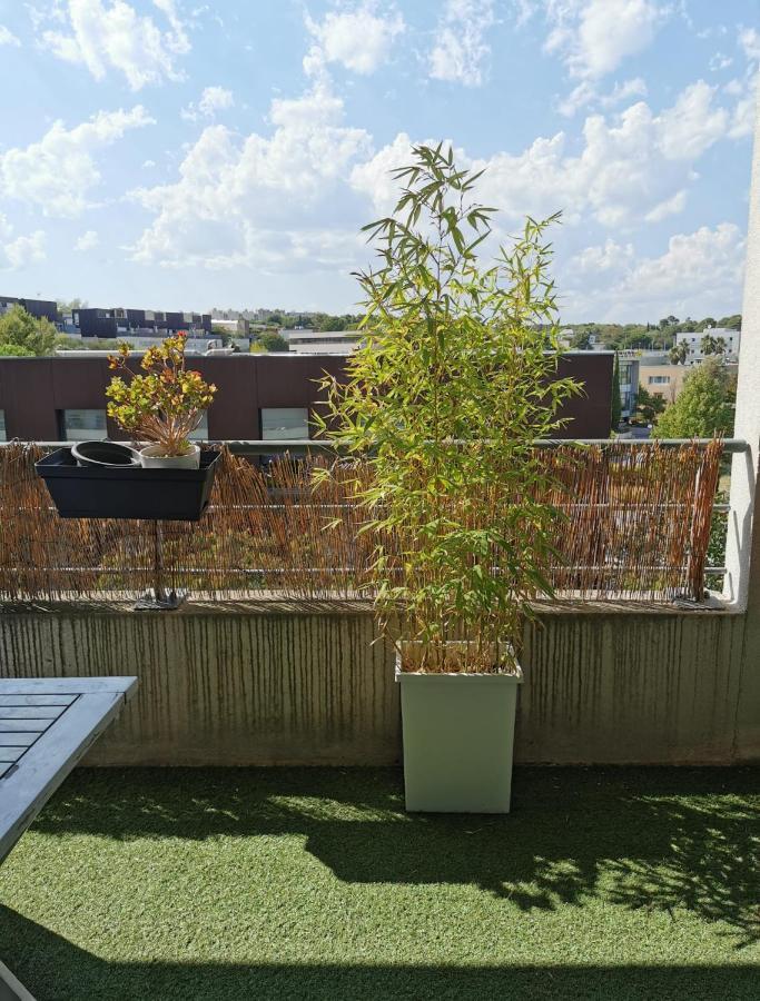 Appart T1Bis Malbosc Montpellier Ngoại thất bức ảnh